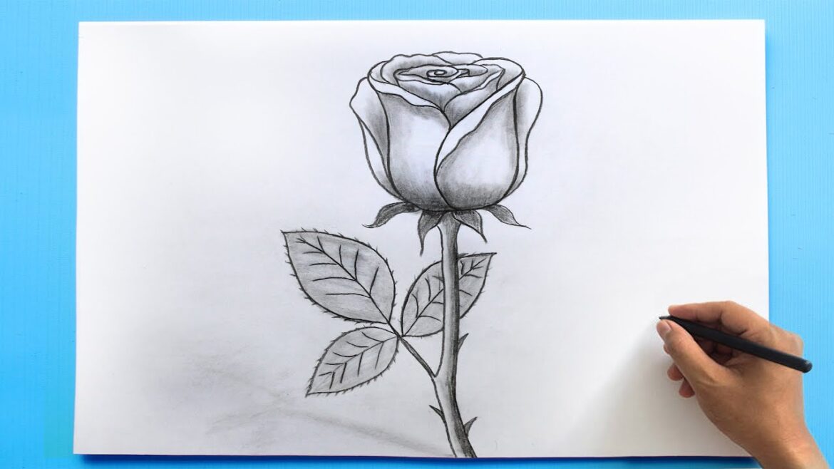 drawing:kkbuebxxlzy= rose Exploring the Beauty and Symbolism of the Rose in Art