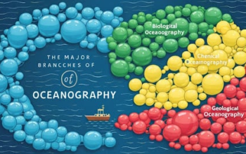 What Are The Major Branches Of Oceanography